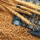 На Дону экспорт продукции АПК вырос